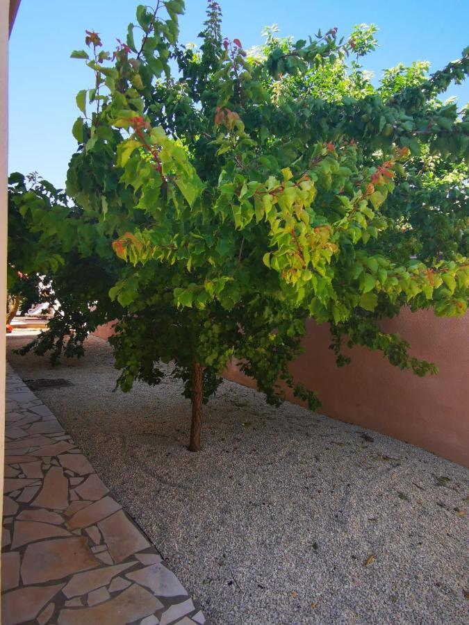 Gites Avec Grande Piscine Et Sa Terrasse Privative Bernis Exteriör bild